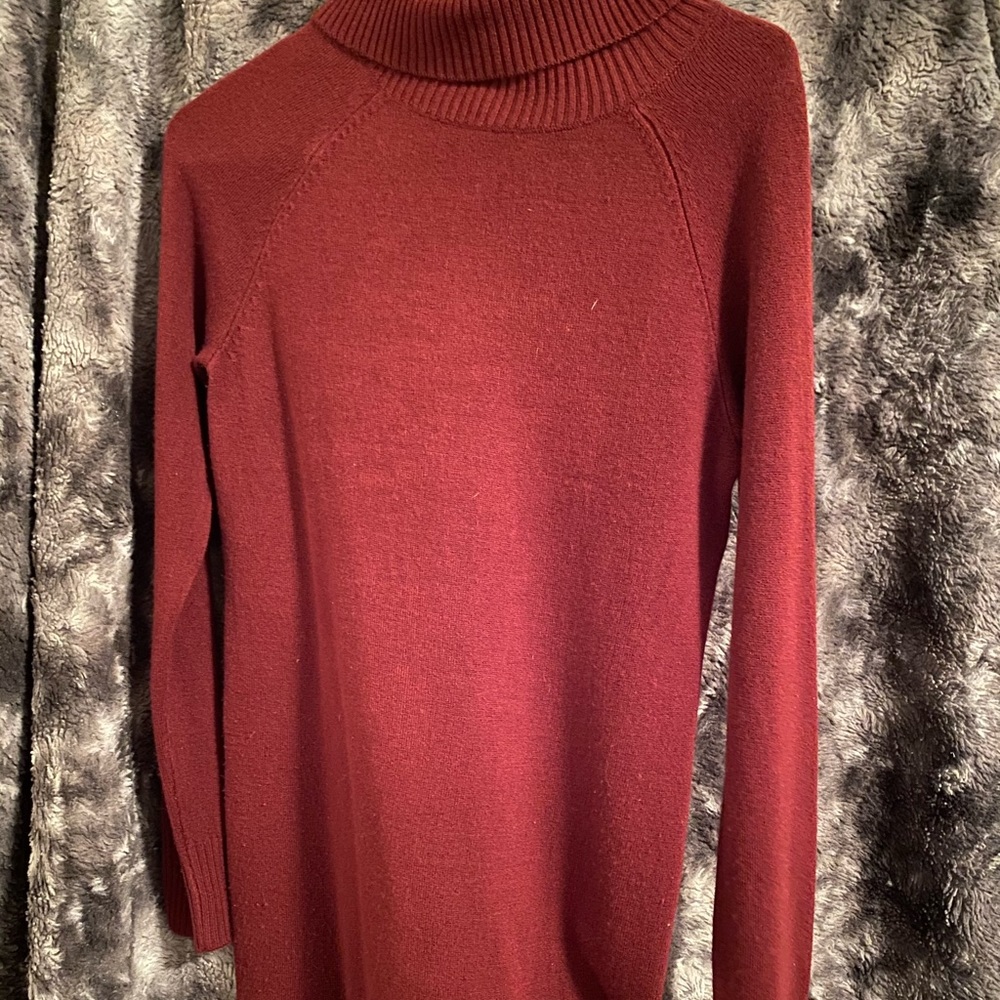Turtle neck dress